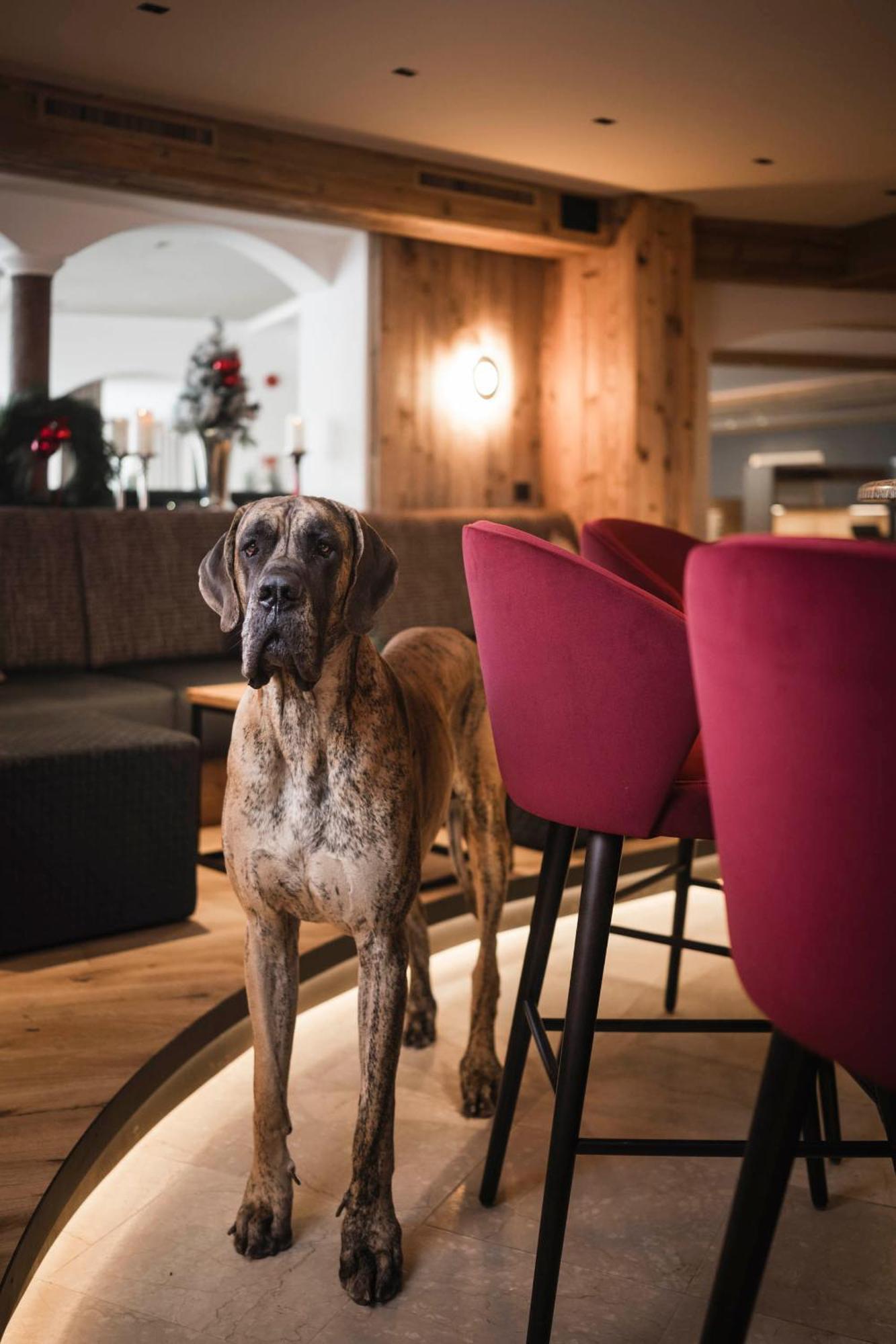 Alpenheim Charming & Spa Hotel オルティゼーイ エクステリア 写真
